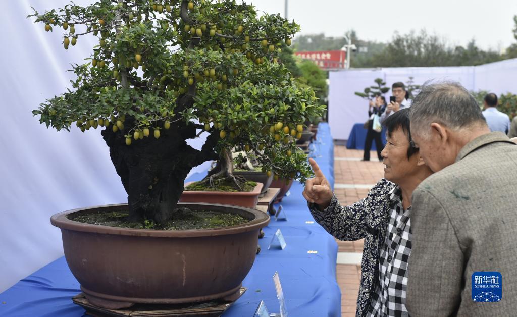 名骏威棋牌
